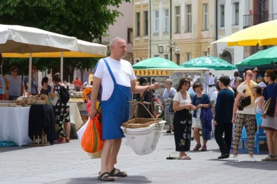 Illustration hawk - Image 1