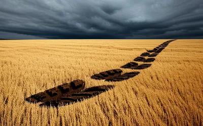 Illustration trampled - Image 1