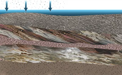 Illustration sedimentary - Image 1