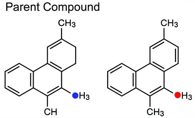 Illustration analogues - Image 1