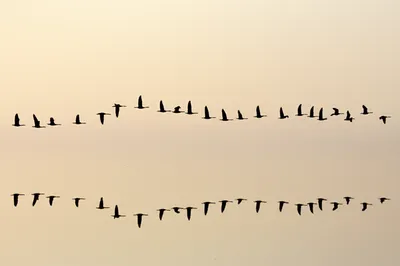 Illustration unison - Image 1