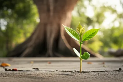 Illustration slip - Image 1