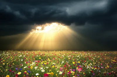 Illustration hopeful - Image 1