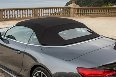 Illustration landau - Image 1