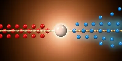 Illustration reductions - Image 1