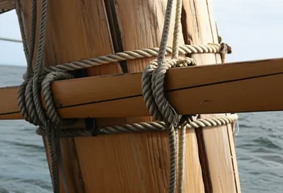 Illustration fishes - Image 1