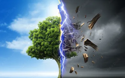 Illustration chop - Image 1