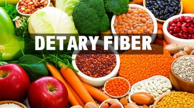 Illustration fibers - Image 1