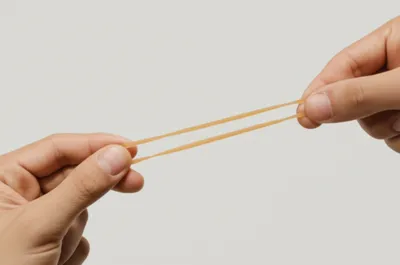 Illustration elongate - Image 1