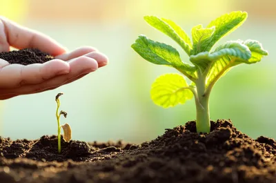 Illustration abortion - Image 1