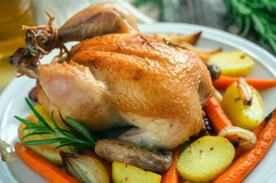 Illustration poussins - Image 1