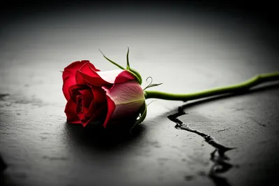 Illustration ill - Image 1