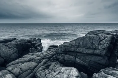 Illustration grizzle