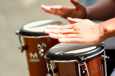 Illustration bongo - Image 1