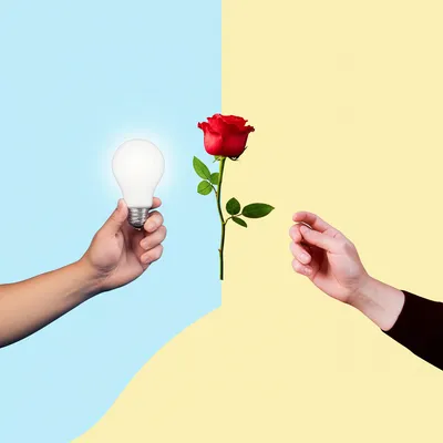 Illustration interchanging - Image 1