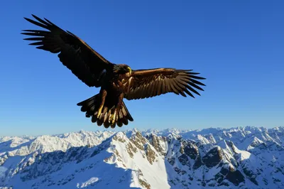 Illustration grandly - Image 1