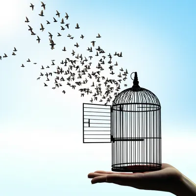 Illustration unleash - Image 1