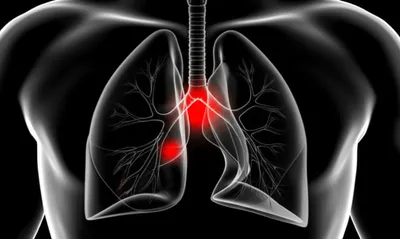 Illustration primaries - Image 1