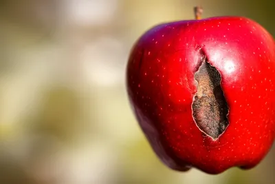 Illustration sours - Image 1