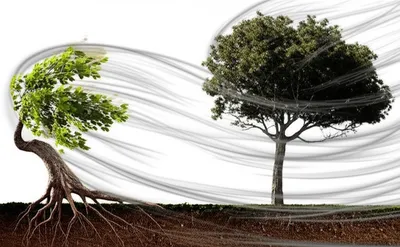 Illustration resisting