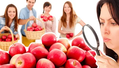 Illustration fastidious - Image 1