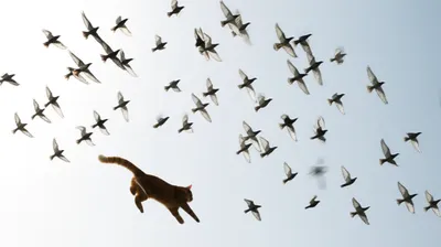 Illustration confuse - Image 1