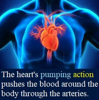 Illustration action - Image 5