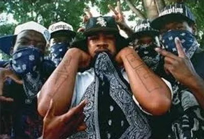 Illustration signify - Image 3