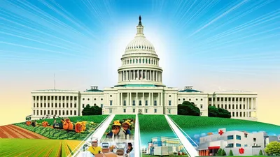 Illustration governs