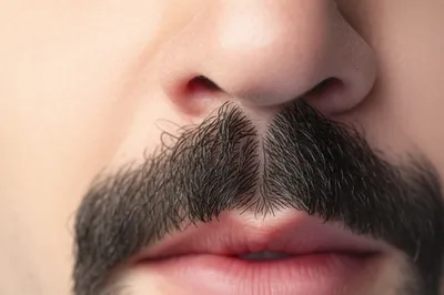 Illustration moustache