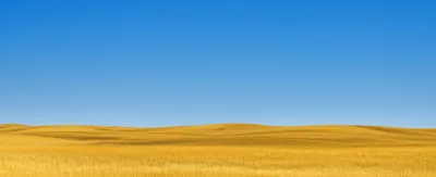 Illustration campaign - Image 1