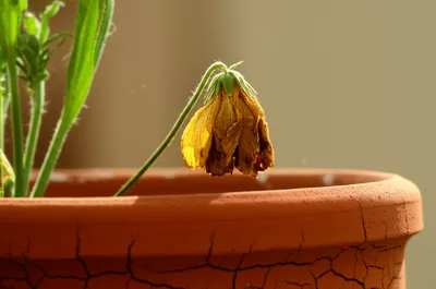 Illustration break - Image 1