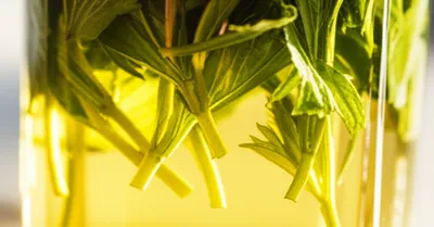 Illustration infused - Image 1