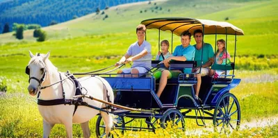 Illustration jaunt - Image 1