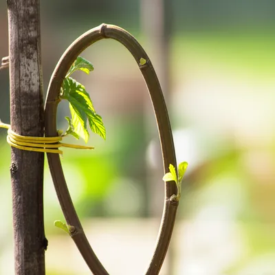 Illustration rehabilitating - Image 1