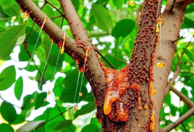 Illustration lacs - Image 1