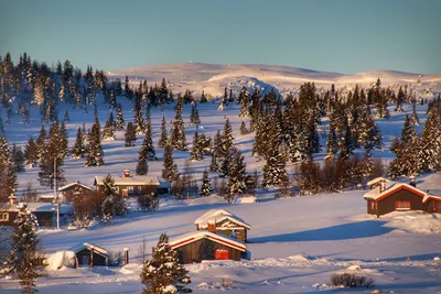 Illustration blanketed - Image 2