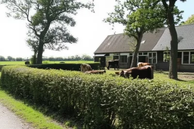 Illustration lobby - Image 1