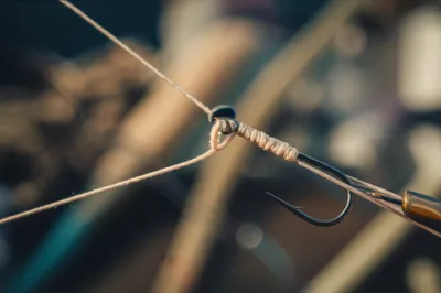 Illustration mouses - Image 1