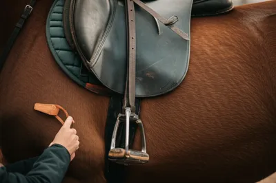 Illustration tacking - Image 1