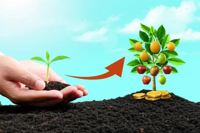 Illustration invest - Image 1