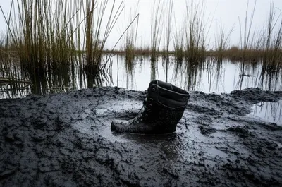 Illustration miry - Image 1