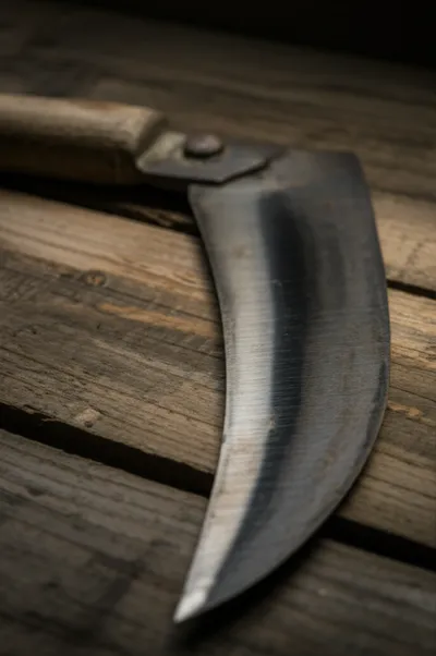 Illustration chime - Image 1