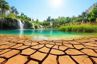 Illustration refreshing - Image 1