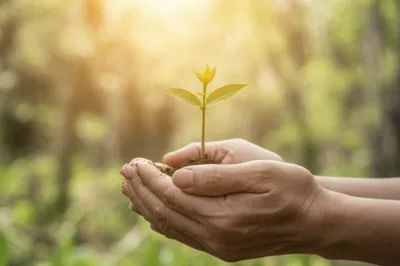 Illustration foster - Image 1