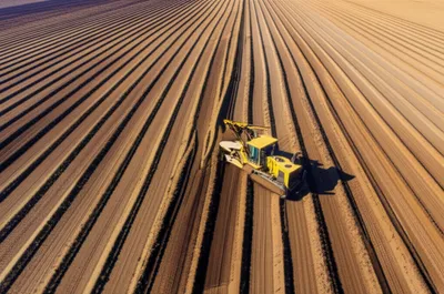 Illustration strip - Image 1