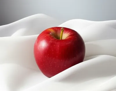 Illustration wrapped - Image 1