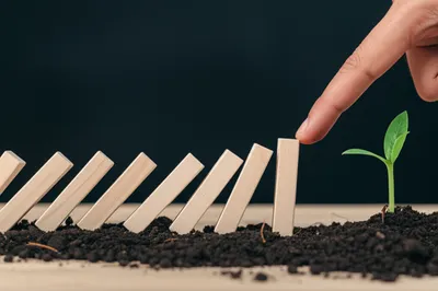 Illustration conclude - Image 1