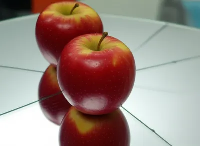 Illustration distorting - Image 1