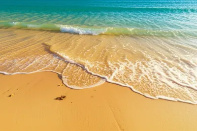 Illustration sweep - Image 1